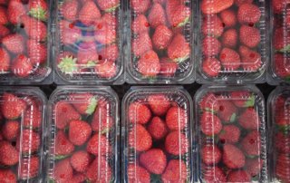 イチゴのパック売り