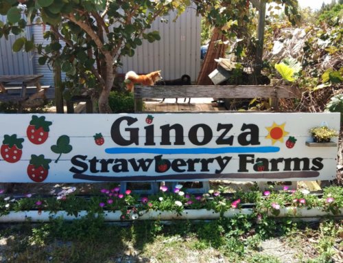 3/16(月)〜3/22(日)の営業日・営業時間